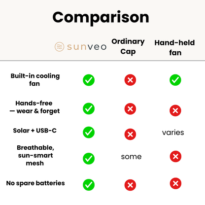Sunveo infographic 3